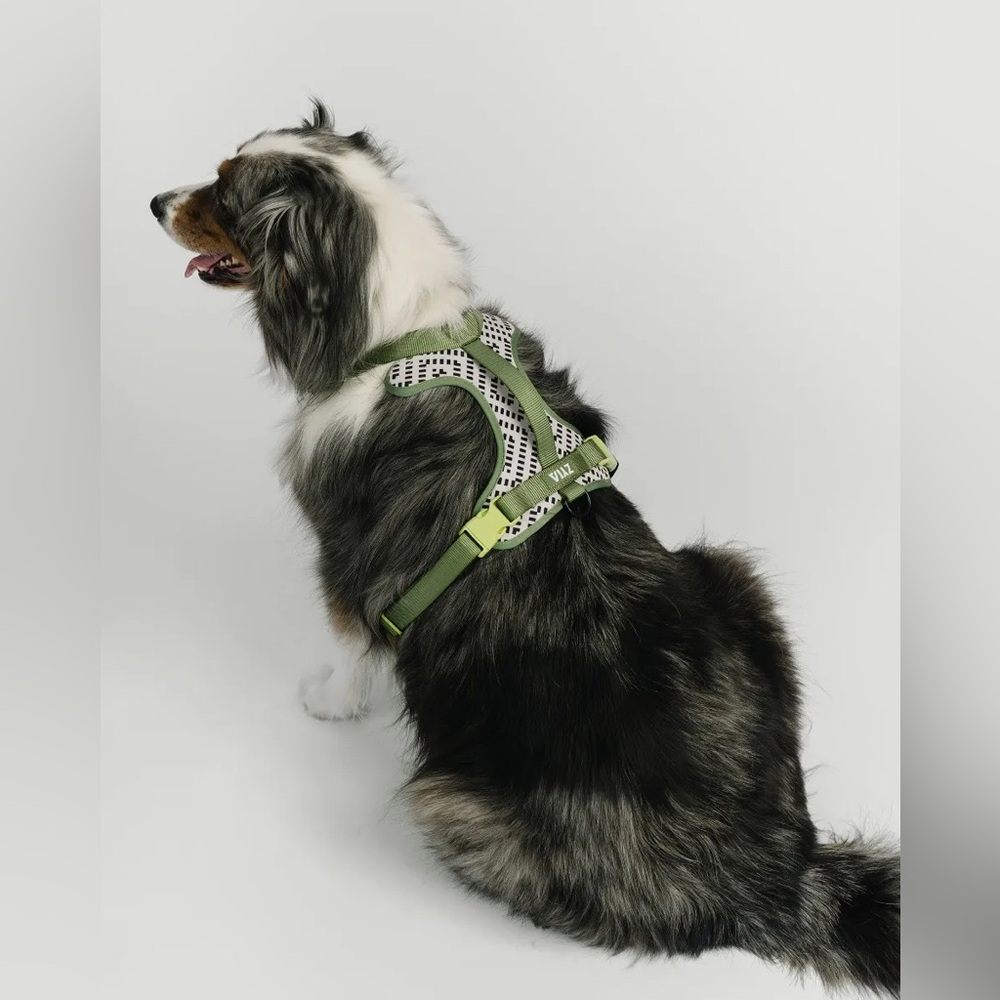 🎉 HOST PICK 🎉 NWT Zyia Sidekick Handled Dog Harness